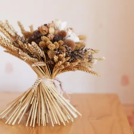 Vakantiehuis Domaine Du Port Sainte Marie *